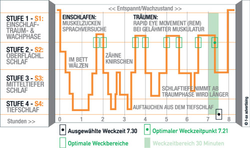 Schlafphasen Schlafzyklen